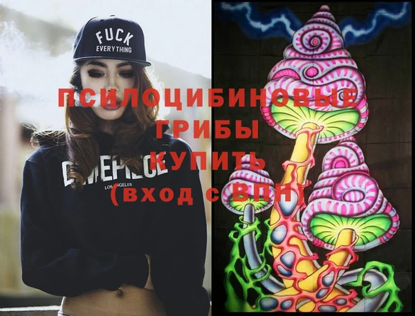 ECSTASY Абаза
