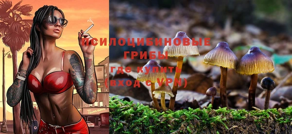 ECSTASY Абаза